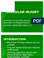 Pathanatomy Lecture - 02 Cell Injury