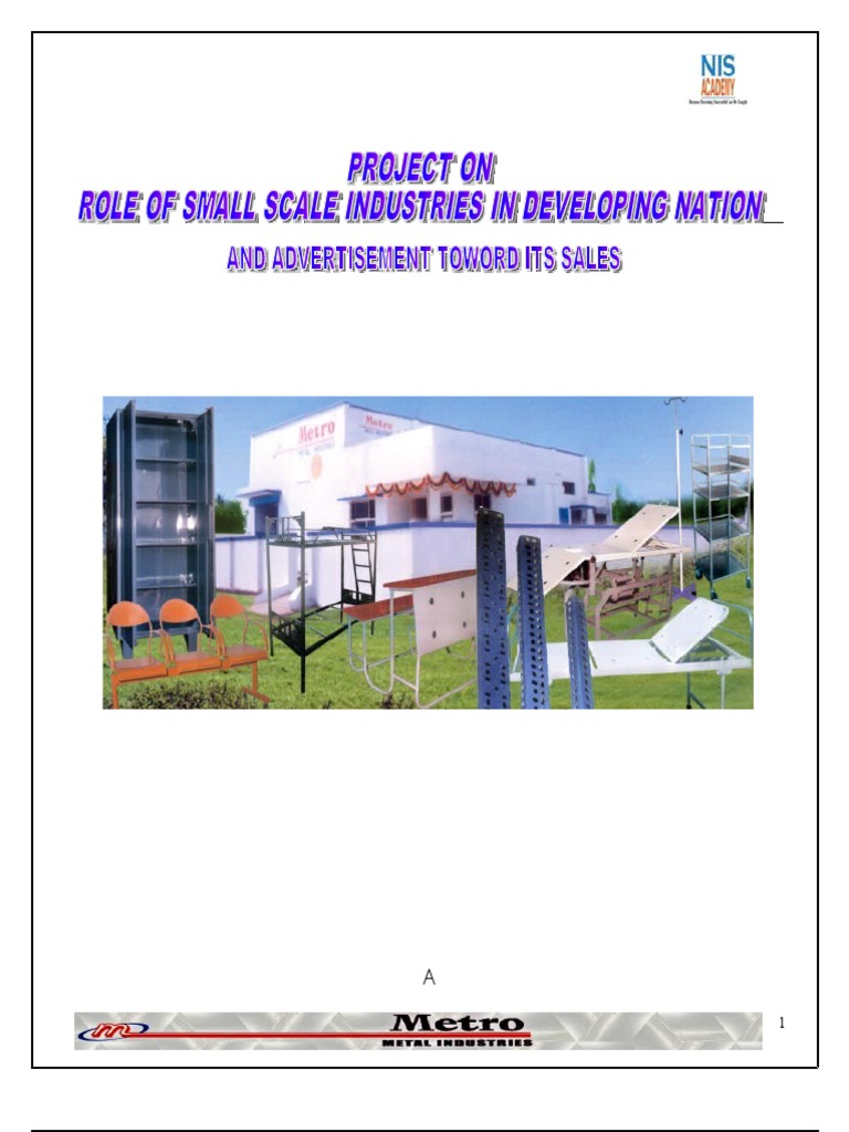 Role of Small Scale Indusrtries in Devolping Nation | PDF