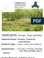 Turkish Hazelnuts & Dried Fruits (Groups, Types and Sizes)