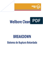 04 Wellbore Clean Up Rev02