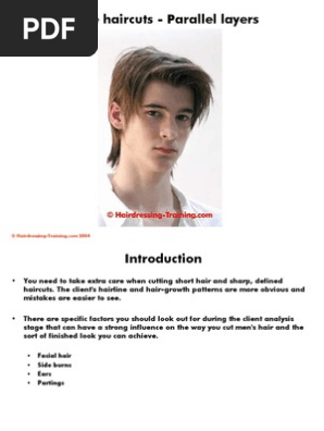 Parallel Layers Male Hairstyle Hair