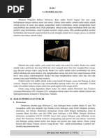 Download FIX Makalah Nuklir by fhyekha SN197291875 doc pdf