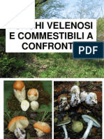 Funghi Velenosi e Commestibili