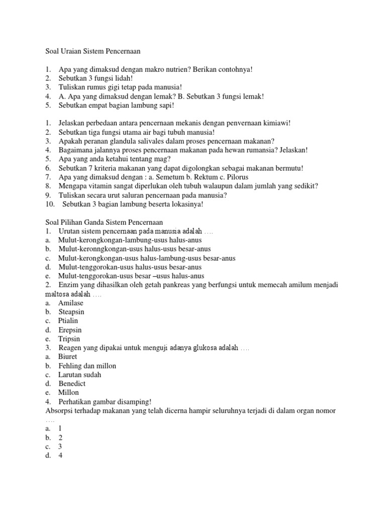 Soal Tentang Sistem Pencernaan Guru Galeri