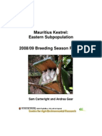 Mauritius Kestrel: Eastern Subpopulation 2008/09 Breeding Season Report