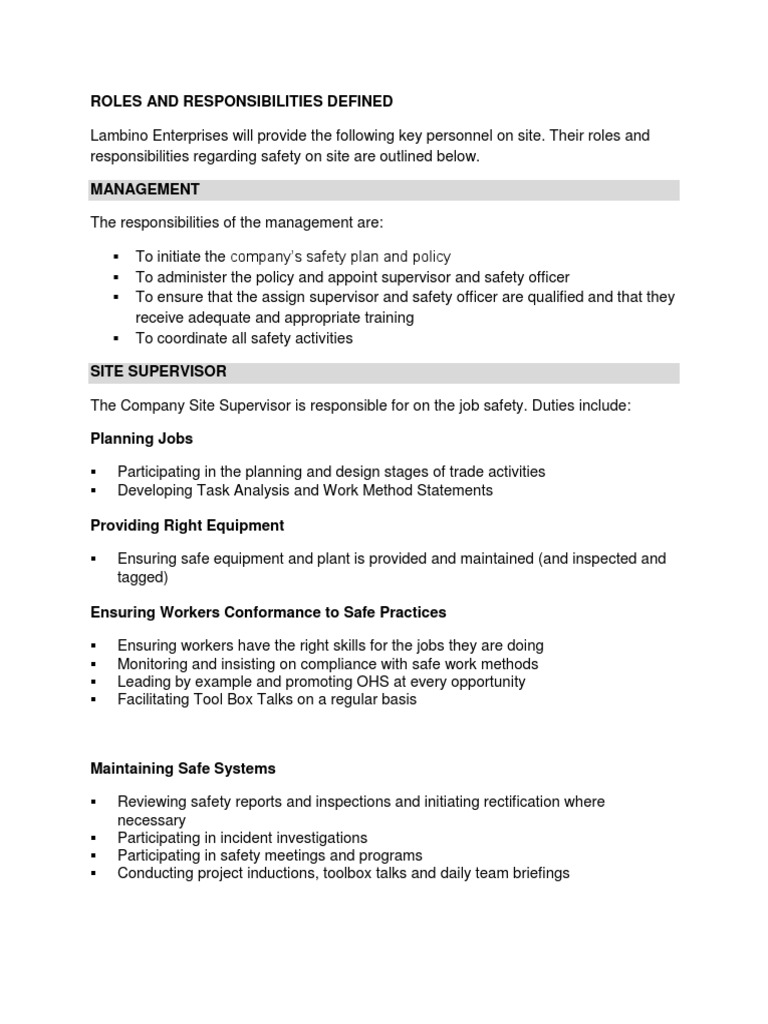 Defined Roles for Site Safety Management | PDF | Occupational Safety ...