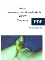 Practico Stepwise