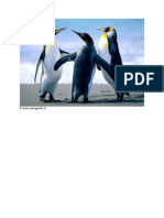 Funny Penguins 3