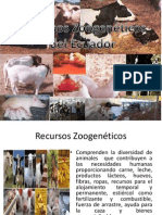 Recursos Zoogenéticos del Ecuador: Conservación y Amenazas