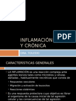 Inflamacin Aguda y Crnica