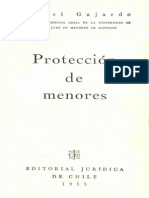 Protección_menores- Samuel Gajardo