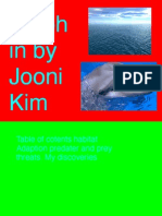 Joonis Dolphin Adaptaion-2