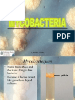 Mycobacteria