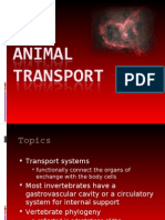 (BIO) Animal Transport
