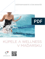 Kúpele A Wellness V Maďarsku