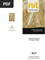 Thomas Schreiner Teologia Noului Testament | PDF