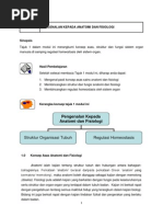 Download Nota Anatomi Dan Fisiologi by JeeJanz Kaunsin SN197742406 doc pdf