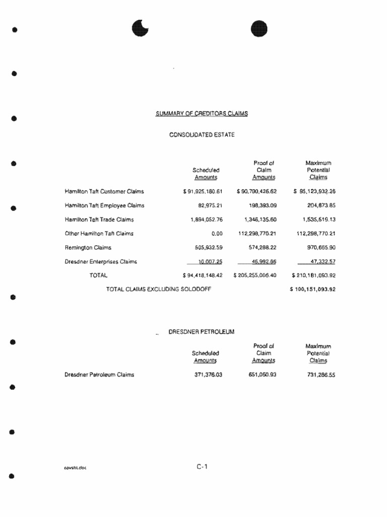 Summary of Creditors' Claims Liability (Financial Accounting) Debt