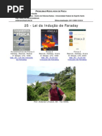 30-Lei Inducao Faraday