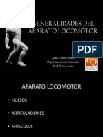 Generalidades Del Aparato Locomotor