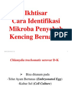 Ikhtisar Cara Identifikasi Mikroba Penyebab Kencing Bernanah