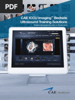 E Learn CAE_ICCU_LoRes.pdf