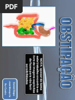 seminario_obstipacao