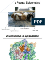 Genomic Focus on Epigenetics