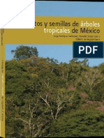 Frutos y semillas de arboles tropicales de Mexico.pdf