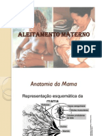 ALEITAMENTO MATERNO - LICCA