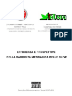 Raccolta Mecc Olive