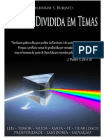 A Biblia Dividida em Temas Scribd