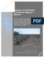 Oaxaca Mezcal