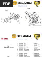 GG 8335 Belarra