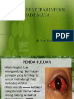 Kuman Penyebab Infeksi Mata