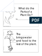 Plant Functions Worksheet