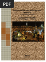 9ª  SUB-REGIÃO - PARINTINS -