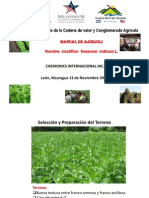 Cultivo de Ajonjolí PDF