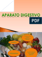 Aparato digestivo(1)