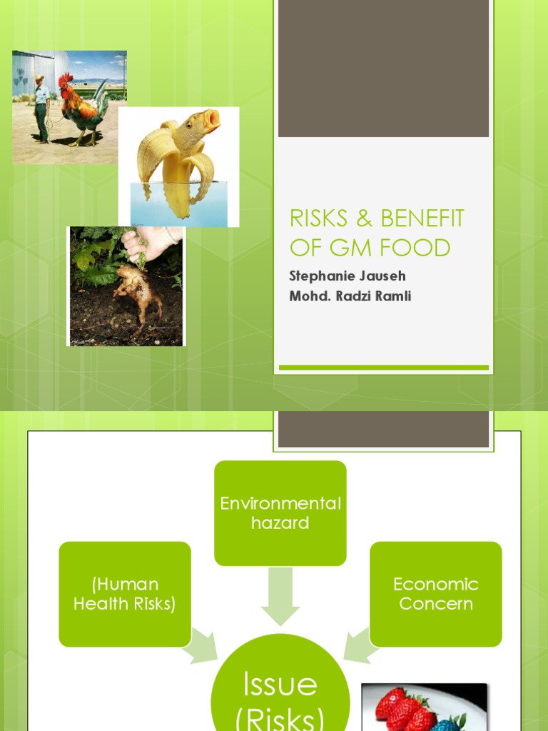 Risks and Benefits of GM Foods | PDF