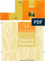 11 Etanol Biodiesel 2012