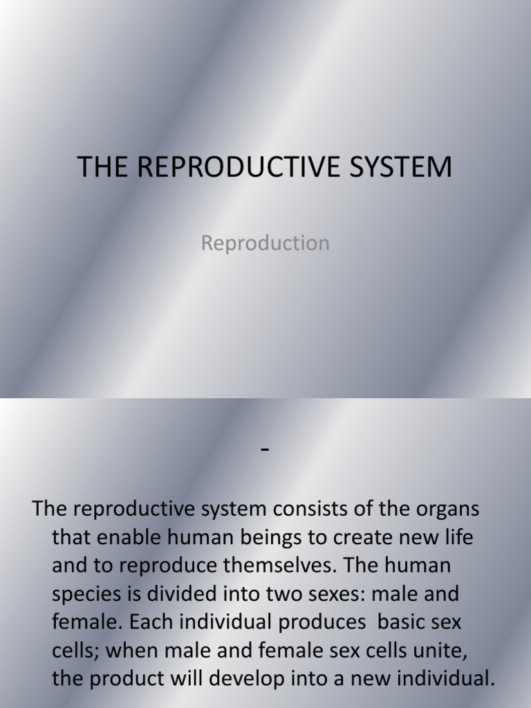 Thereproductivesystem | PDF | Social Science
