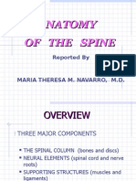 Anatomy of The Spine and Some Common Pathologies