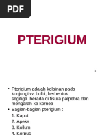 Download PTERIGIUM by Kpop Shop Makassar SN198051056 doc pdf