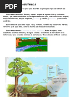 Ecosistema