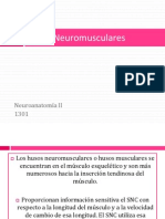 Hu Sos Neuromuscular Es