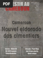 Download Investir Au Cameroun 20 by tchuipet SN198198748 doc pdf