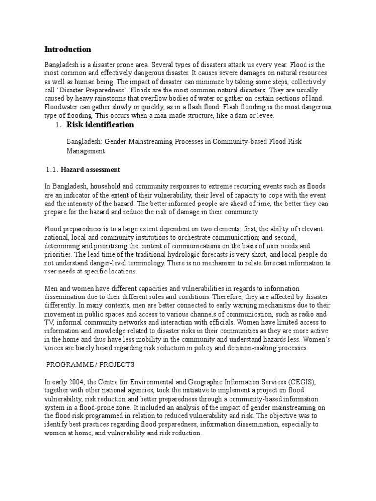 Flood Disaster Management | PDF | Emergency Management | Flood
