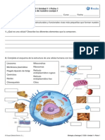 Biologia Fichas