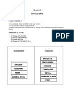 Laborator 1 - TCP IP